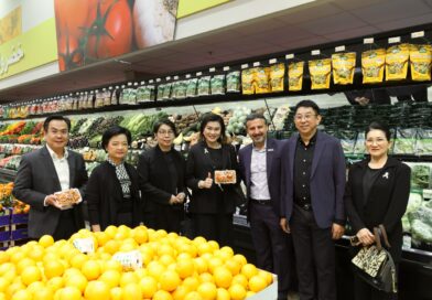 DITP เปิดเส้นทาง 2 ปี พร้อมการดันผู้ประกอบการไทยขึ้นแท่น “โกลบอลเพลย์เยอร์” ด้วย “โกลบอลวิชชั่น”THINK THAILAND : NEXT LEVEL “คุณค่า – มูลค่า” ที่จับต้องได้จริงจากกว่า 680 กิจกรรม